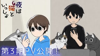 Anime 「At night with cats」 3rd stage commercial 【Distribution starts at 20:00 on December 4th!】