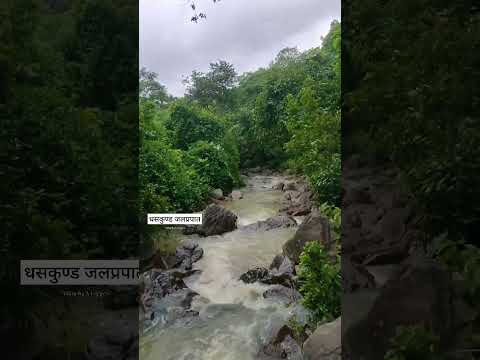 Chhattisgarh का खूबसूरत और घने जंगलों के बीच बसा waterfall | #shorts #youtubeshorts #alkarhavlogger