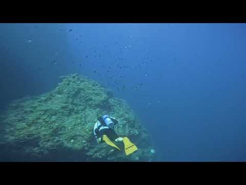 Toilet Bowl Okinawa Japan Scuba Diving