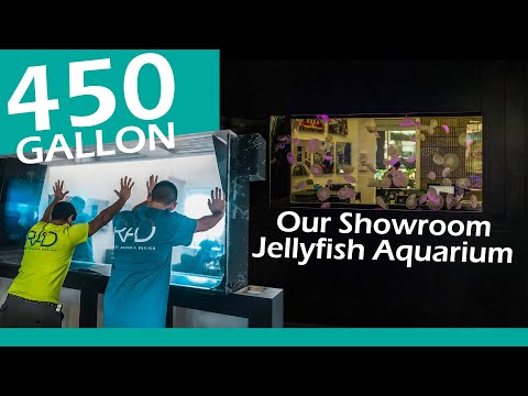 OUR 450 GALLON EPIC, COLORFUL AND MESMERIZING SHOWROOM JELLYFISH AQUARIUM - REEF AQUARIA DESIGN