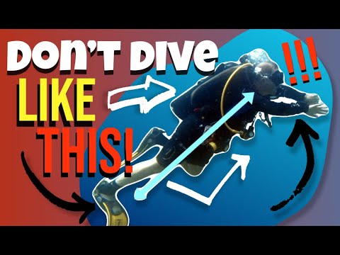 The 5 Basic Principles of Scuba Diving. (Be an efficient diver!)