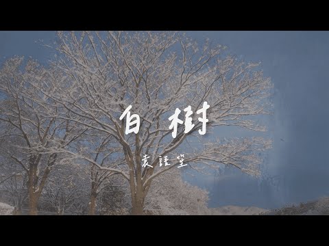 袁語笙 I 白樹『以為不管飛到哪裡都會一直載著妳降落在不同時區太可惜』Lyrics Video【高音質 動態歌詞/PinyinLyrics】