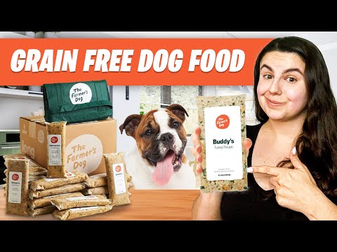 GRAIN FREE Dog Food: Is It Good For Your Dog?