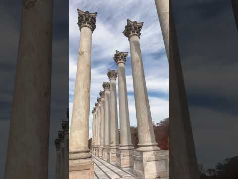 (short teaser)The Capital Columns(Abandoned) at the U.S. National Arboretum