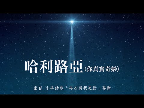 哈利路亞(你真實奇妙)-小羊詩歌(再次將我更新)