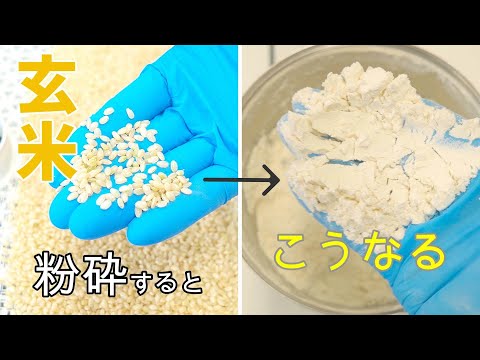 玄米の粉砕比較！乾燥玄米 vs 生玄米を卓上粉砕機で検証