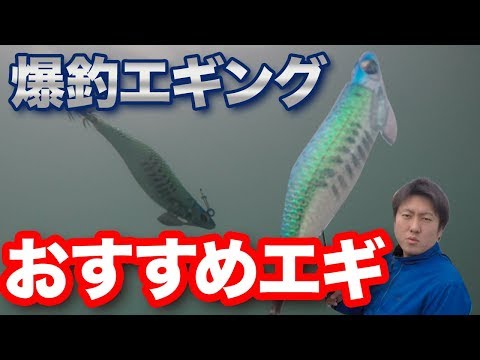 【超高級エギ】フレッシュ水中映像/初心者のエギングにおすすめ！イカ好みのドリフト釣法で根掛かり率アップ！？エメラルダスストリーム。