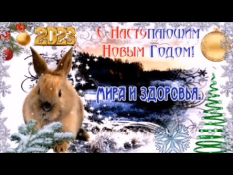 С НАСТУПАЮЩИМ НОВЫМ ГОДОМ ВАС, ДРУЗЬЯ! Встречаем Год Кролика! ! Красивое  видео поздравление.