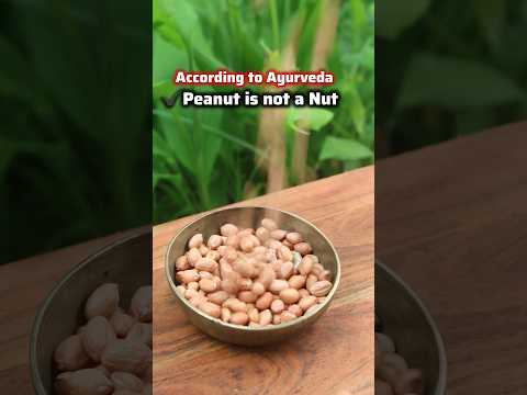 Peanut is not a NUT🤯✅ Ayurveda Facts on Peanuts/Groundnuts #shorts