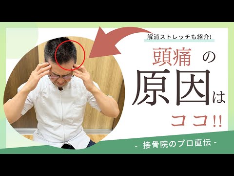 【頭、首が痛い】朝、起きたとき頭痛がする、夕方になるとだんだん頭が痛くなってくるときのストレッチ！｜接骨院のプロが教えるお家セルフケア｜テラピスト接骨院.