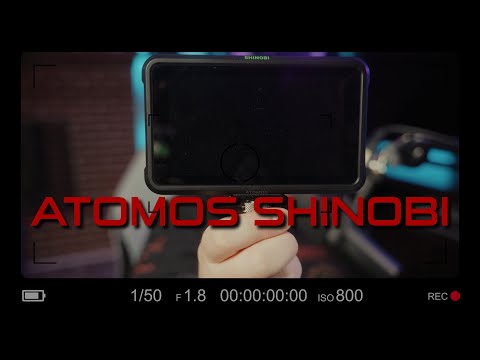 A Possible Great Camera Monitor | Atomos Shinobi