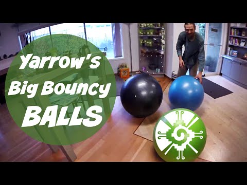 The Benefits Of Using Fitness Balls At Your Desk | Harmonic Arts