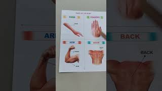 parts of the body part-4💪🖐️#shorts #viral #trending #youtubeshorts #ytshorts #video #partsofthebody