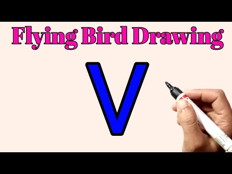 How To Draw A Flying Bird Easy Step By Step | Flying Bird From Letter V