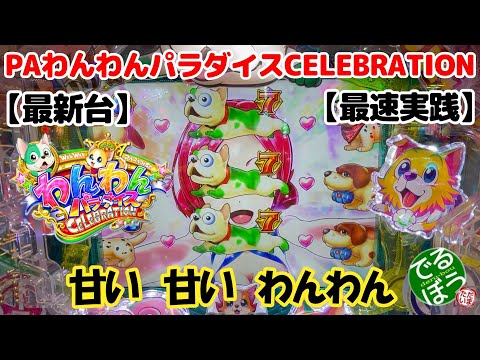 【最新台】PAわんわんパラダイスCELEBRATION【最速実践】　見どころ満載　最も甘いわんわん