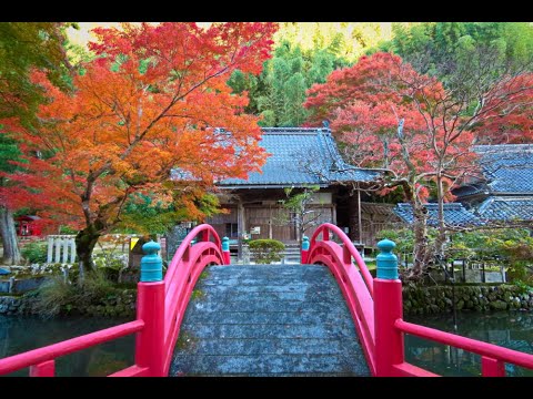 大澤寺の紅葉スライドショー 2024.12.02