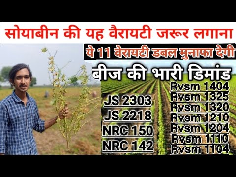 2024 की सोयाबीन Nrc 150 142 js 2303 2218 rvsm 1404 1325 1320 1210 1204 1110 1104#soyabean#viral