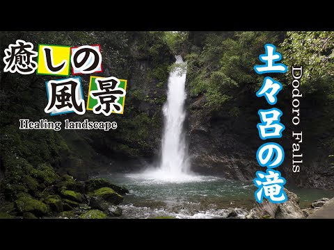 土々呂の滝【 Dodoro Falls 】