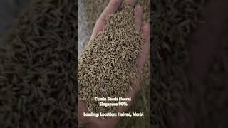 Cumin Seeds (Jeera) _ Singapore 99% _ Indian Spices