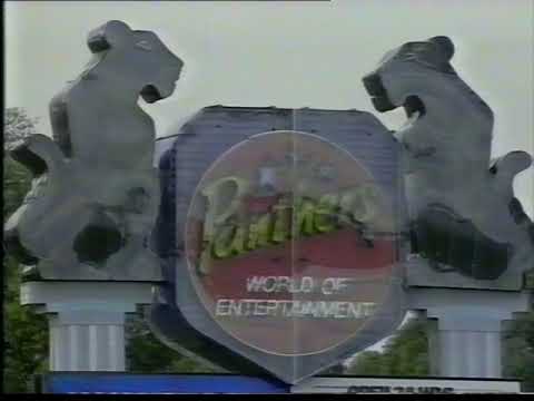 Prime News Report - Penrith Panthers Takeover in Lavington, NSW