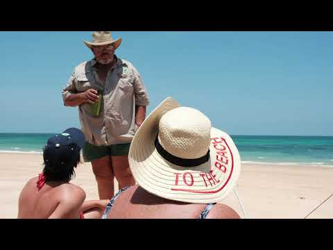 🏖 Mozambique Adventure! Driving on the Beach #shorts