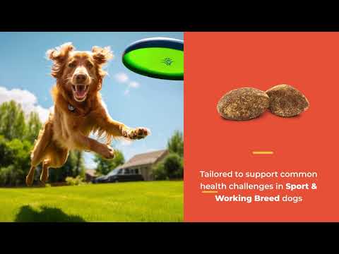 NaturVet Breed Specific Sport & Working Breed Dogs