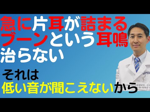 急性低音障害型感音難聴について解説。セルフケア、効果のある市販薬も教えます。