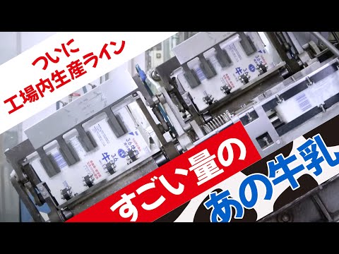 牛乳工場秘話：製造の背後にある科学と技術！青森県むつ市のスーパーマーケットマエダ