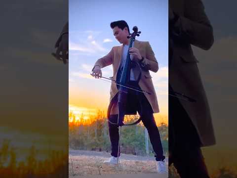 WOW 12-part cello version of Halo for a wedding 😱 too beautiful #cello #sunset #beyonce