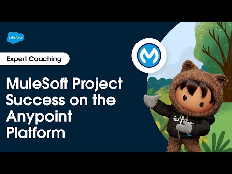 MuleSoft: Project Success on the Anypoint Platform | Expert Coaching