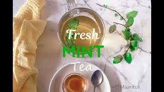 FRESH MINT TEA | EASY TO MAKE | Drink to relax you and warm you up