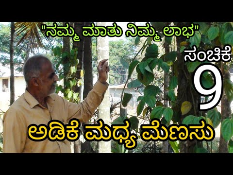 ಮೆಣಸು ಬಯಲುಸೀಮೆಗೆ ಸೂಕ್ತ ಮಾಹಿತಿ. || ಸಂಚಿಕೆ - 09 ||