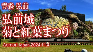 青森 「弘前城菊と紅葉まつり」(昼のみ) 2024.11.4