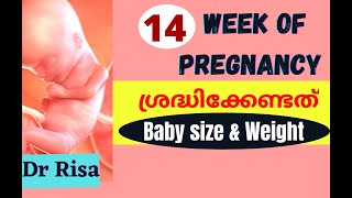 Pregnancy Week by Week Malayalam | 14 Week Pregnancy Malayalam |14 Week Pregnancy Symptoms