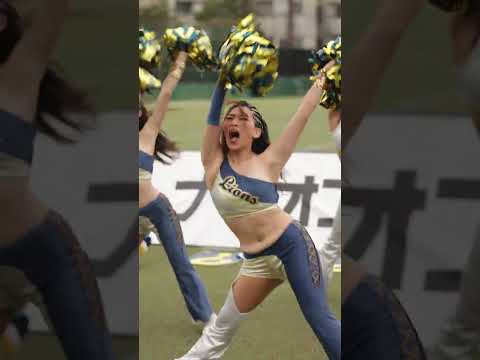 2024/09 All Mitsubishi Lions Cheerleaders #cheerleader