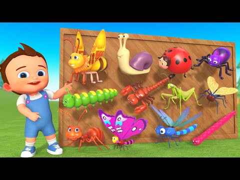 Learning Insect Names for Kids Toddler with Little Baby Fun Activities Preschool Educational Videos