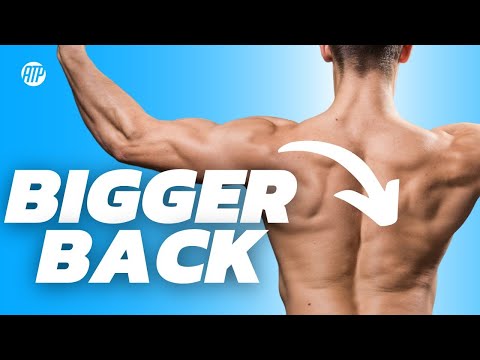 How to Build a Big Back as a Wheelchair User (Optimal Training)