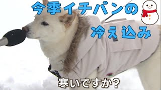 今季１番の冷え込み「さっきも転びそうになりました」ツルツル路面に注意　今シーズンの冬靴のトレンドは？