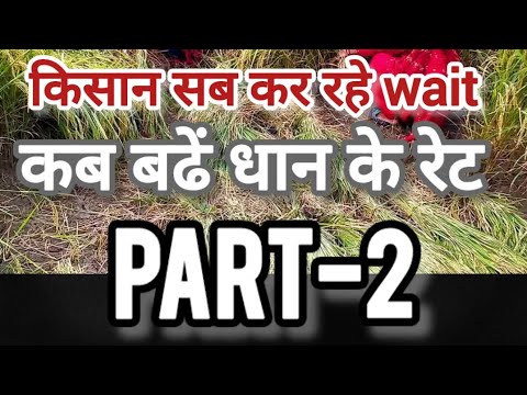 गांव के सबरे कर रए wait  कब बढ़े धान के रेट पार्ट 2