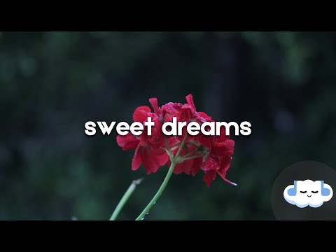 Beyoncé - Sweet Dreams (Lyrics)