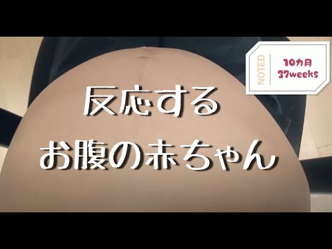 【胎動】反応するお腹の赤ちゃん♪キック連発！