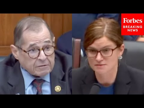 Jerry Nadler Questions Witness On Effect Of GOP Trying To Repeal Access To Abortion Clinics Act