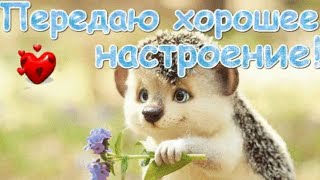 #доброеутречко#хорошеенастроение# Доброе утро!!!