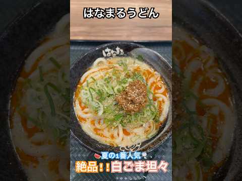 夏の1番人気！白ごま坦々【はなまるうどん】 #讃岐うどん