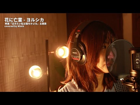 ヨルシカ - 花に亡霊 / 映画「泣きたい私は猫をかぶる」主題歌 Covered by Mirin