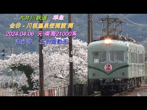 2024 04 06　大井川鉄道　準急　元 南海21000系　金谷－川根温泉笹間渡間　列車走行音・左側車窓動画 ( 一部別動画貼付け有 )