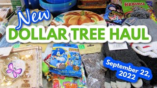 New BIG DOLLAR TREE HAUL!   September 22, 2022 #LeighsHome