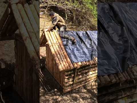 Building a Log Cabin part 10/15 #survival #bushcraft #outdoor