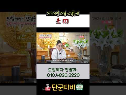 24년12월[소띠]운세/도법제자 천일화/천지도운신전궁/무료점사/안성점집