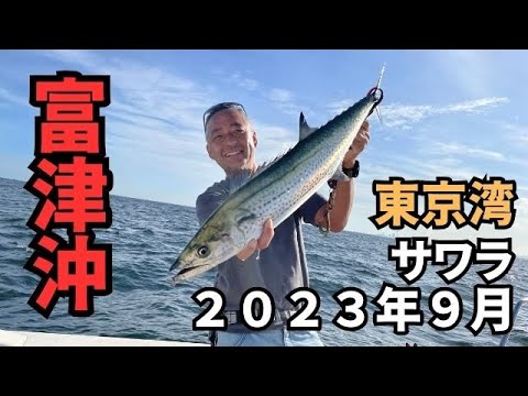 【サワラ開幕】２０２３の初サワラ！東京湾奥にもサワラが入ってきました。　＃サワラ　＃湾奥　＃東京湾　＃富津沖　＃木更津沖　＃ブレードジグ